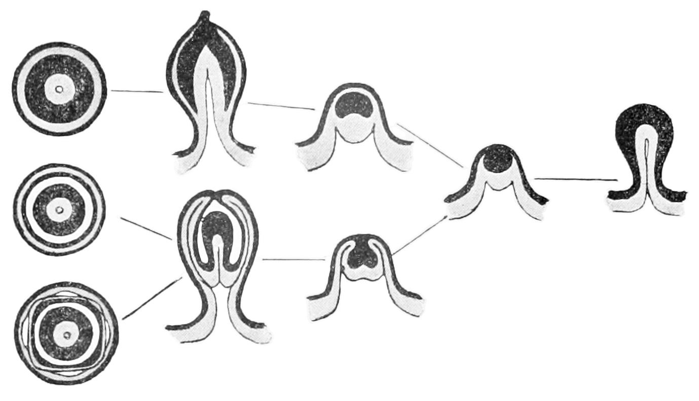 Forum Artistic Research