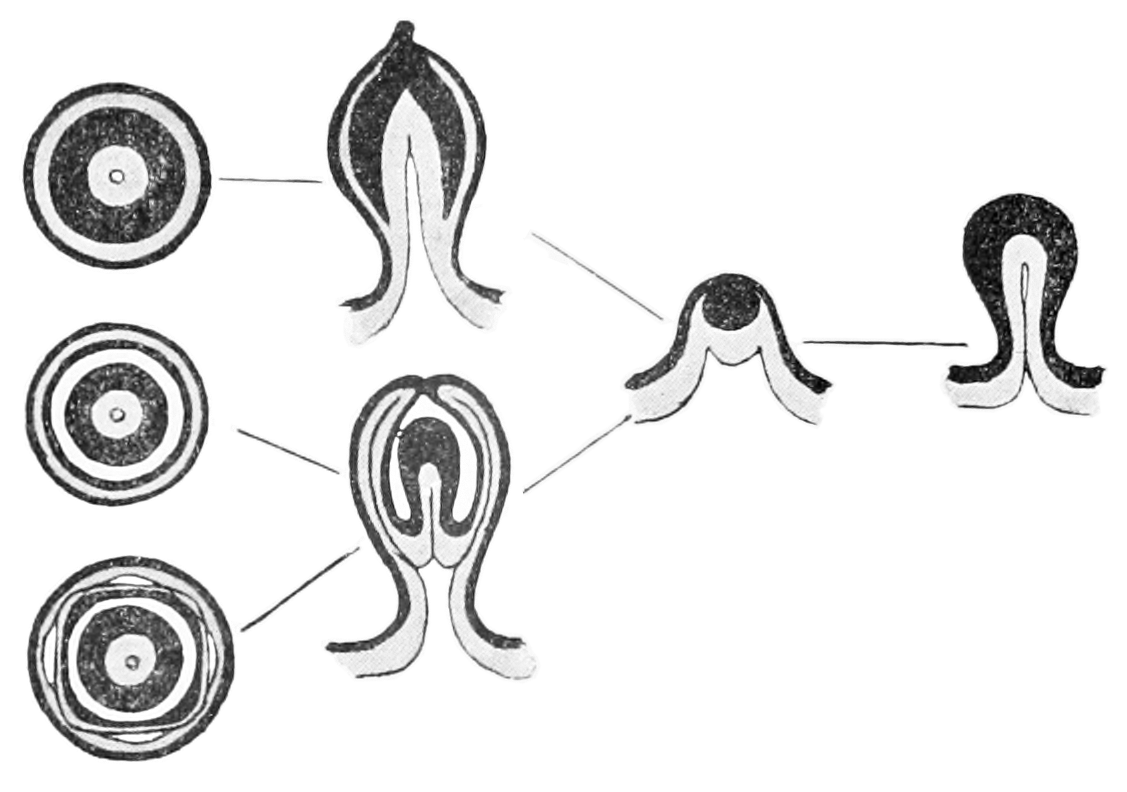 Forum Artistic Research